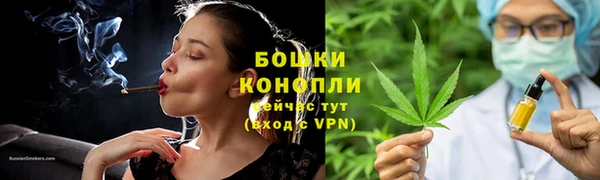 хмурый Покачи