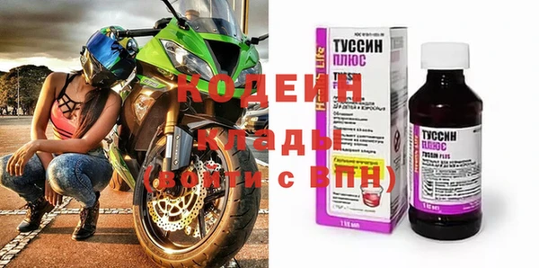 хмурый Покачи