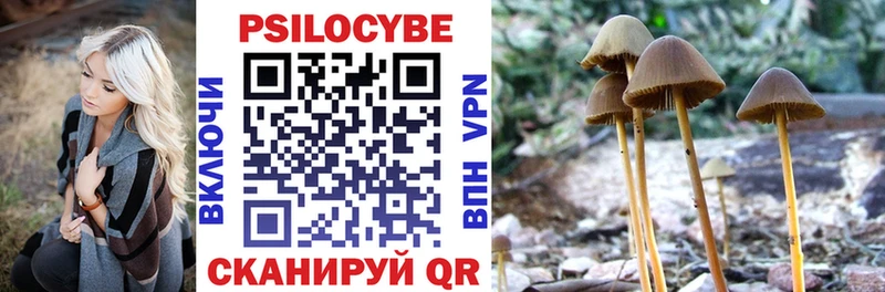 OMG ссылки  Адыгейск  Псилоцибиновые грибы Psilocybe  купить наркоту 